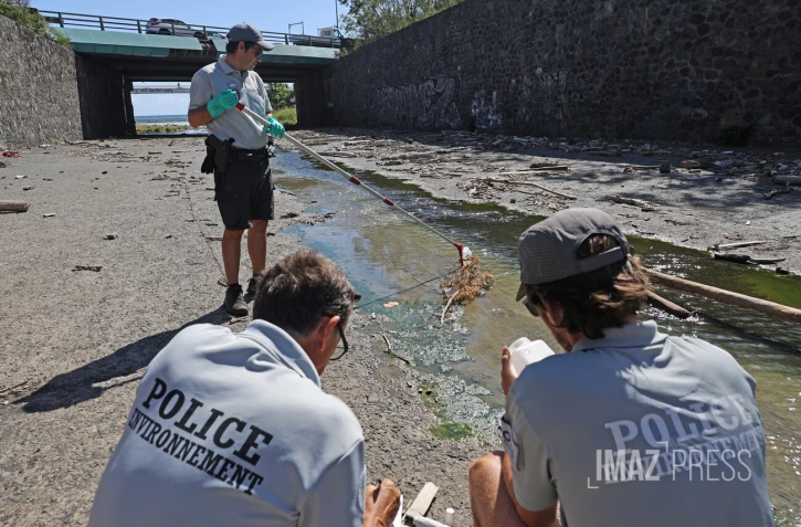 prélèvement OFB anguilles mortes