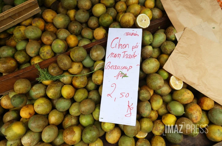 Citron pays 