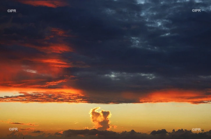 illustrations photos 