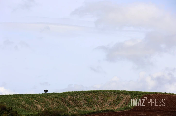 météo réunion 