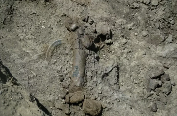 Des fossiles d'hippopotames nains "datant de 350.000 ans" découverts lors de fouilles sur le mont Katharo, sur l'île de Crète, le 17 juillet 2023 ( AFP / Jason TAVALAS )