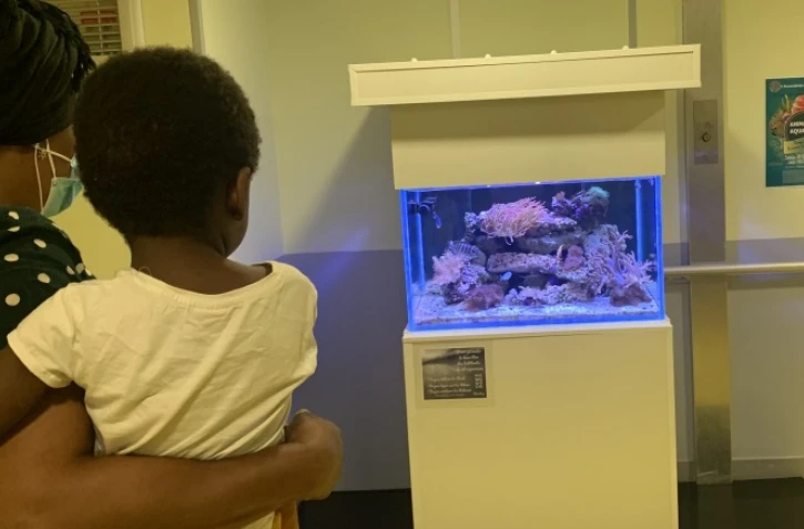 Aquarium CHU