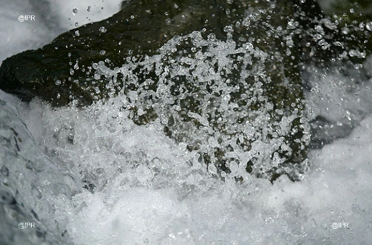 Eau
