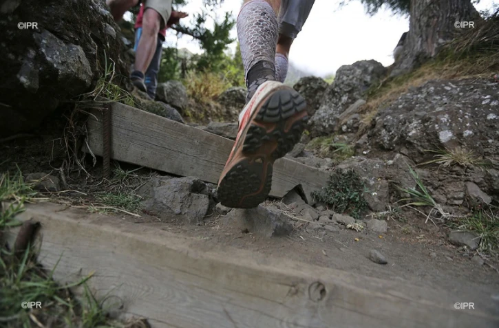 Trail