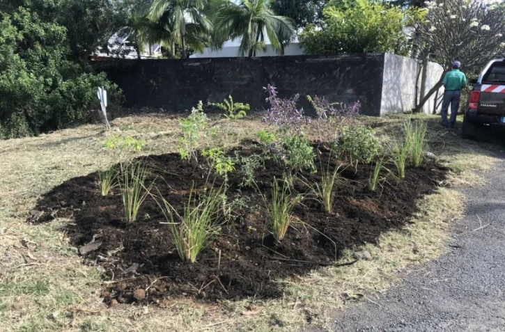 Opération nettoyage et végétalisation 2 octobre 2019 à la civis ligne paradis