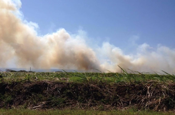 Feu de cannes à Sainte-Suzanne 31 août 2016