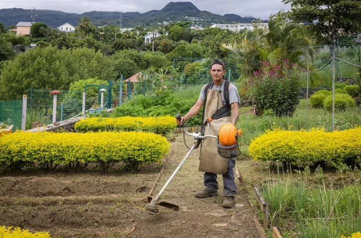La Serre Pédagogique de Bois de Nèfles