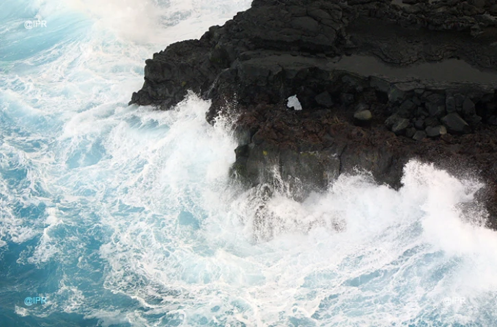 Sud sauvage