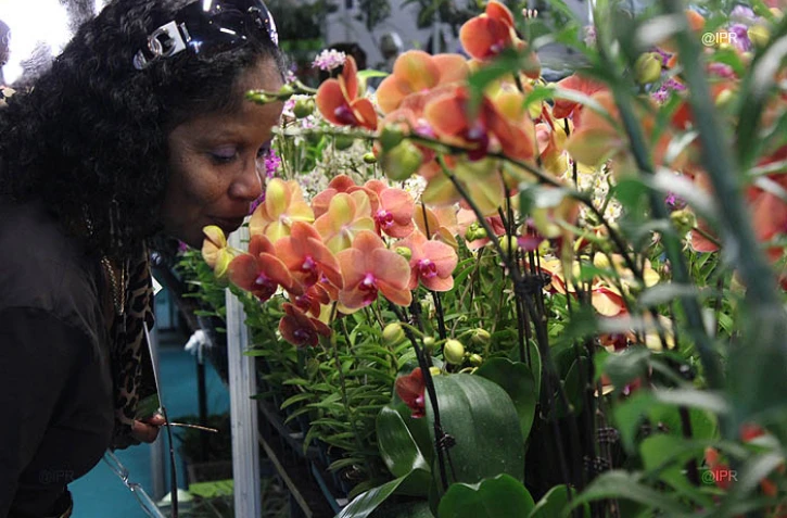 Salon Flore et Halle