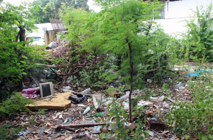 Case créole déchets dengue