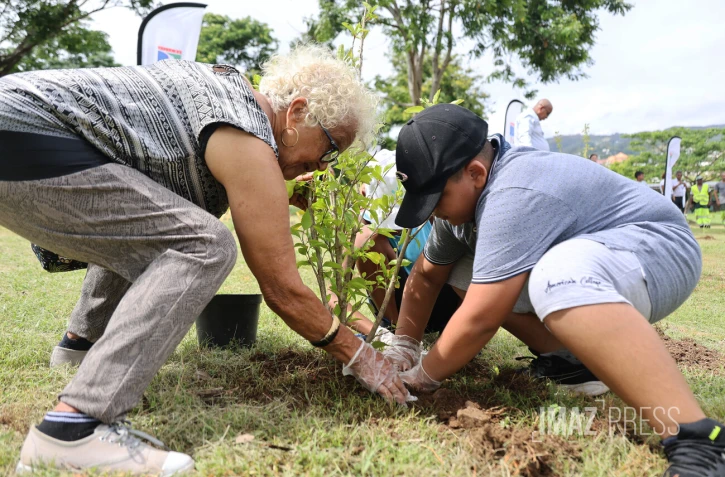opération 1 naissance 1 arbre
