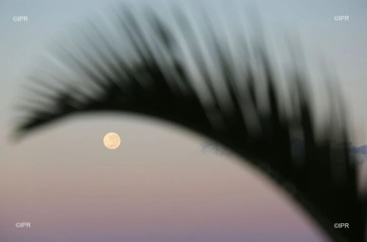 météo réunion 
