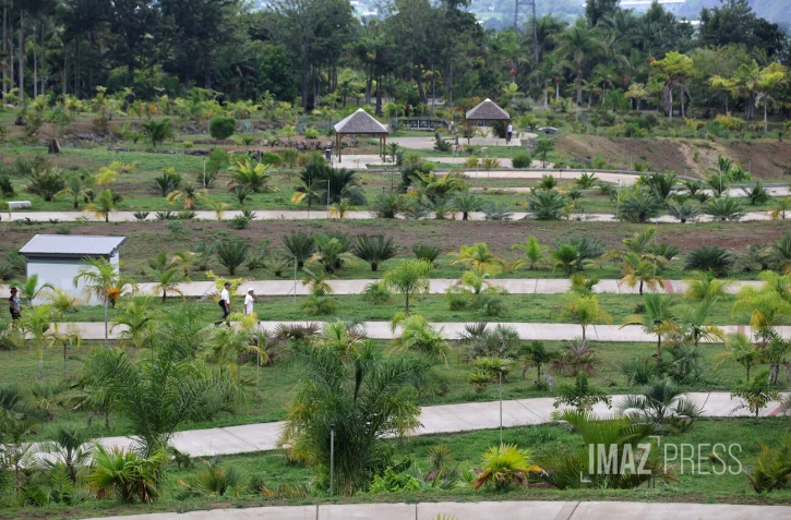 parc des palmiers du monde au Tampon 