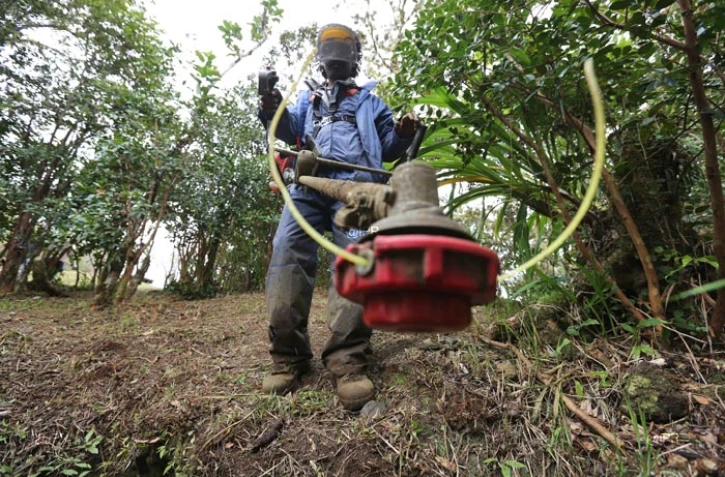 Emplois verts