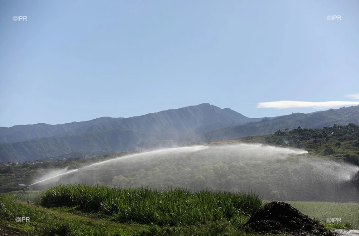 irrigation  canne à sucre 