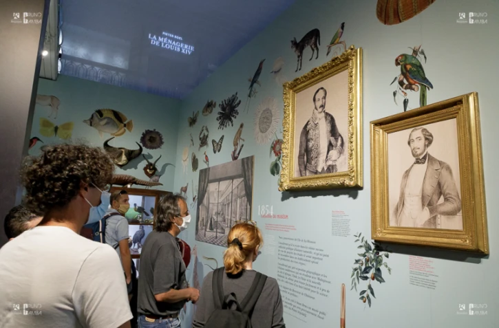 Nuit Européenne des Musées : une balade culturelle au coeur de la nuit