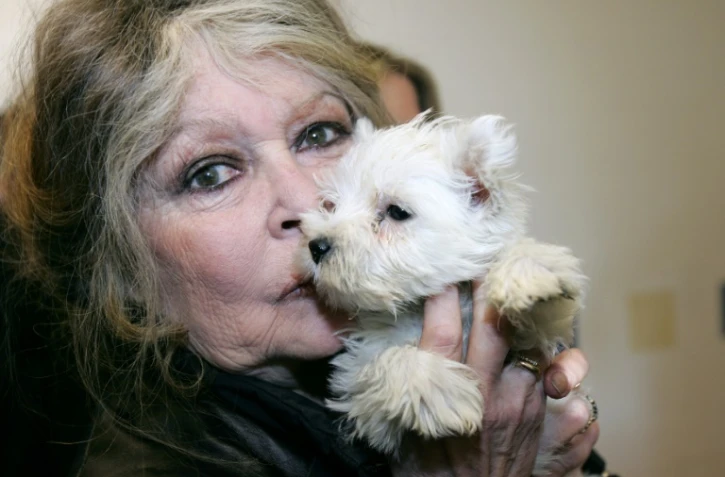 Brigitte Bardot pose, le 28 décembre 2005 à Nice