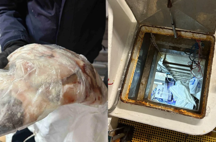 Pêche illicite de légine : six personnes interpellées après la découverte de 2,2 tonnes de poissons non déclarés, 10 kilos supplémentaires retrouvés lors d'une perquisition