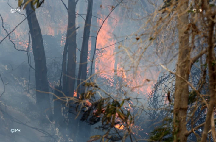 Important feu de broussailles à Rivière du Mât les Bas