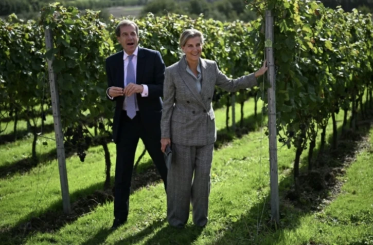 Le cofondateur du domaine d'Evremond, Patrick McGrath, et la duchesse d'Edimbourg Sophie à Chilham, le 26 septembre 2024 dans le sud-est de l'Angleterre ( AFP / Ben STANSALL )