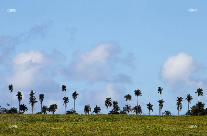 Météo Réunion 