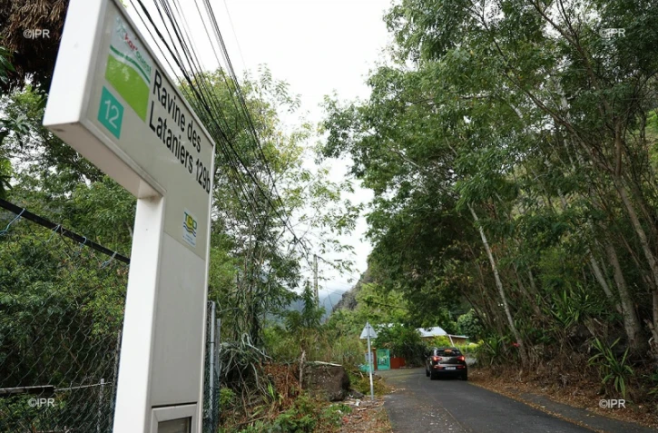 ravine des lataniers