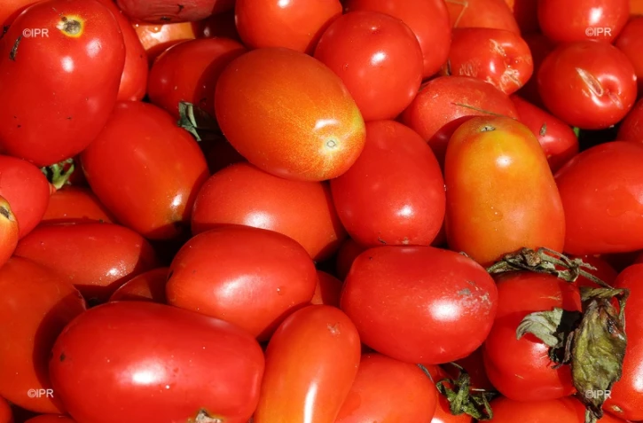 légumes et fruits 
