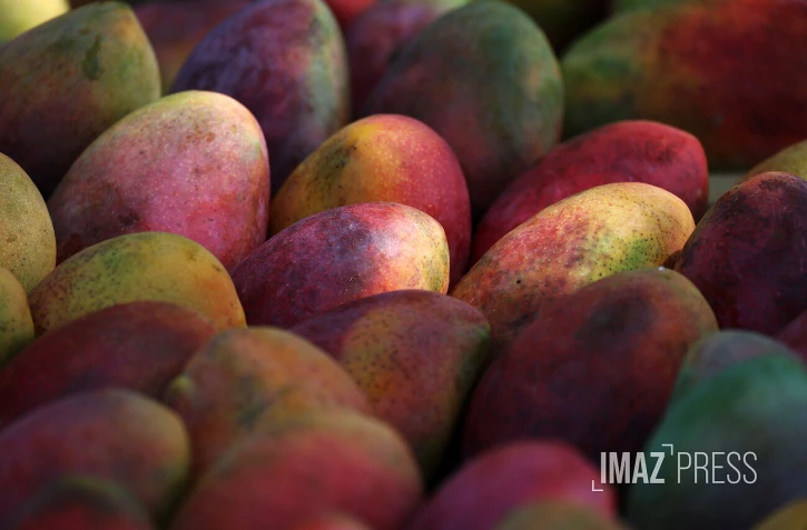Marché forain en couleur