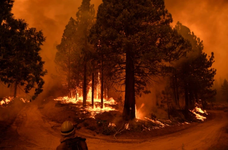 Pratiqués de manière ancestrale par les tribus amérindiennes de la région, ces brûlages sont destinés à éclaircir les sous-bois en consumant broussailles et troncs morts tombés au sol, autant de combustibles qui peuvent attiser l'intensité des feux de forêt