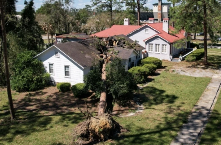 Une maison éventrée par la chute d'un arbre après le passage de l'ouragan Hélène, le 28 septembre 2024 à Valdosta, en Géorgie, aux Etats-Unis ( AFP / John Falchetto )