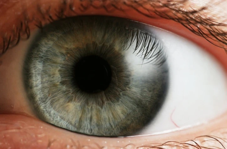 Oeil