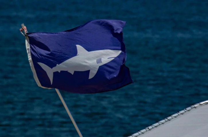 Les attaques mortelles de requin ne sont pas rares en Nouvelle-Calédonie. AFP/Joseph Prezioso