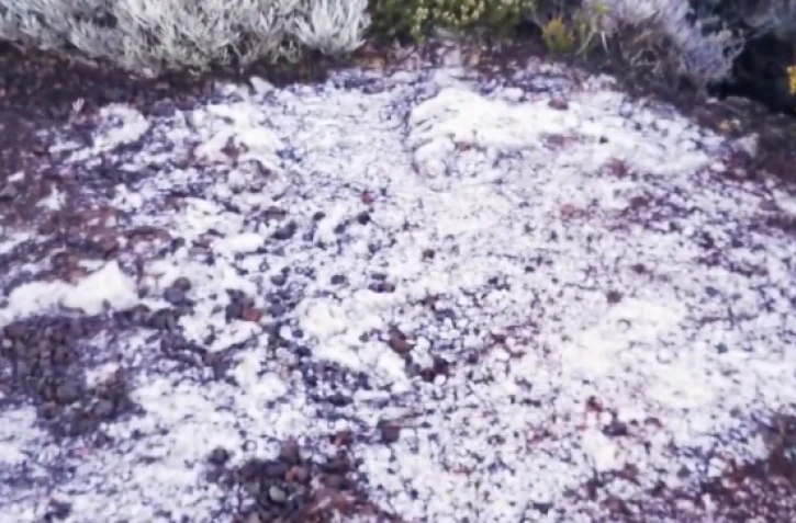 Volcan : le givre s'invite au cratère Commerson