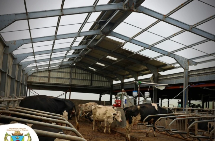  Le Tampon : 20.000 euros d'aide exceptionnelle pour un éleveur sinistré