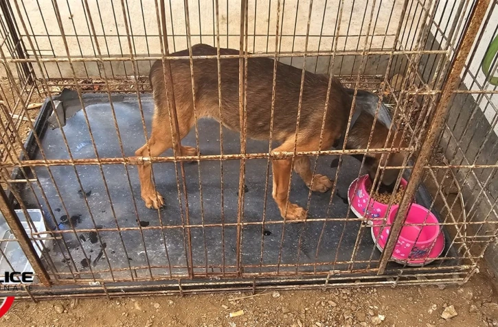 Opération de sauvetage