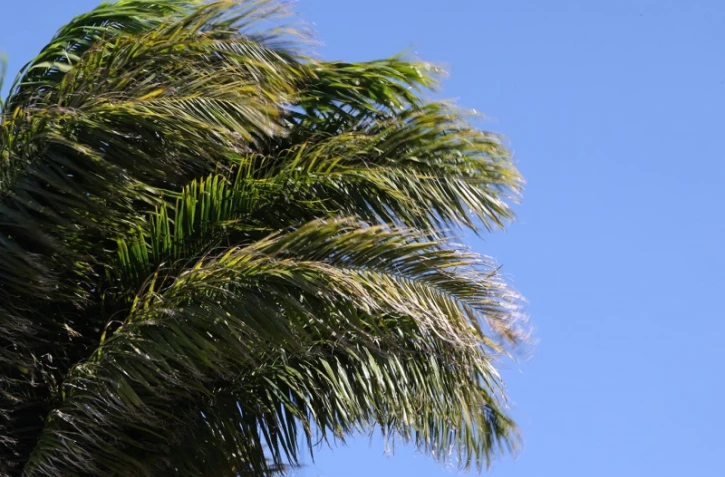 météo Réunion