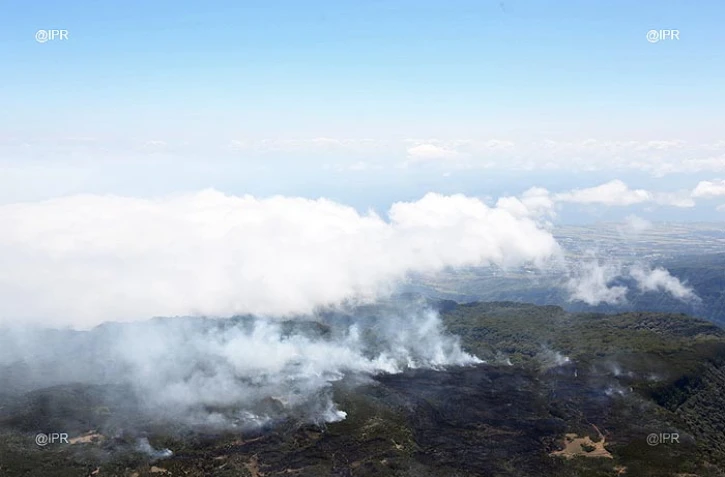 Feu à La Roche Ecrite 