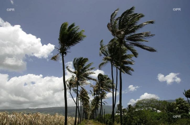 météo réunion 