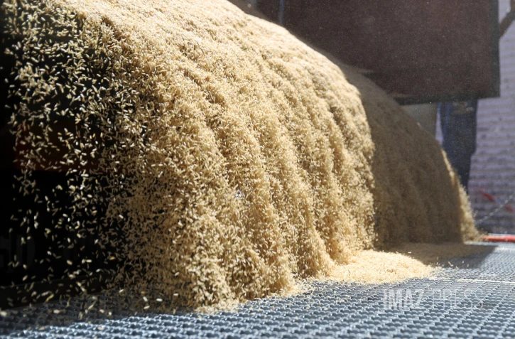 importation de riz 