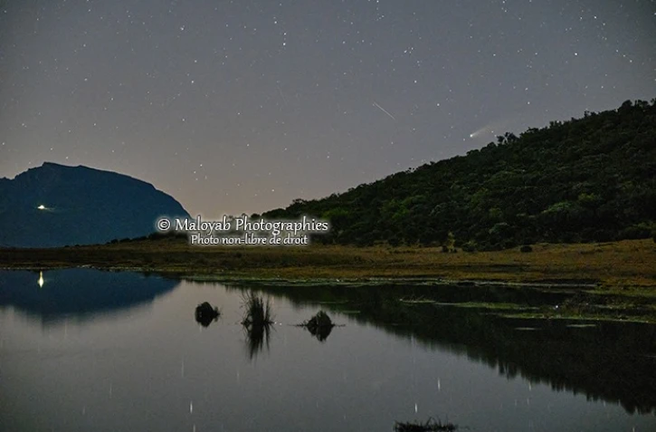 La comète Neowise visible au clair de lune dans le ciel réunionnais