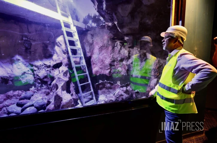 Aquarium de La Réunion : une opération de rénovation lancée à partir de 2026