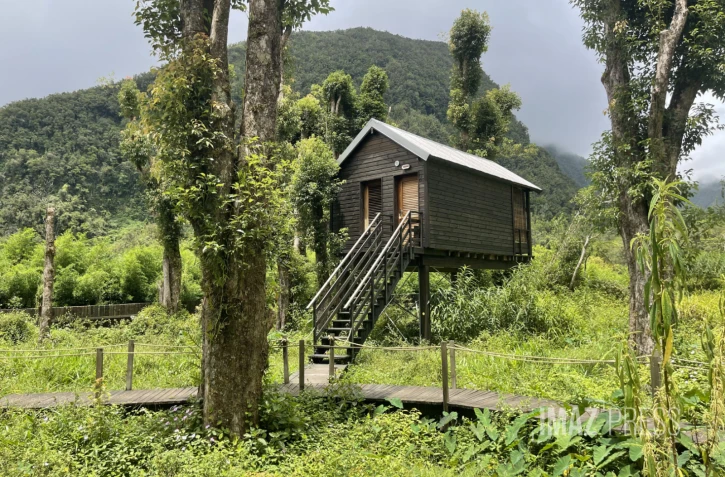 Développer sans détruire : le défi du tourisme durable à La Réunion