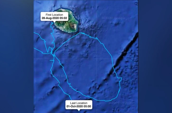 Une tortue relâchée par Kelonia trace les contours de La Réunion en plein océan