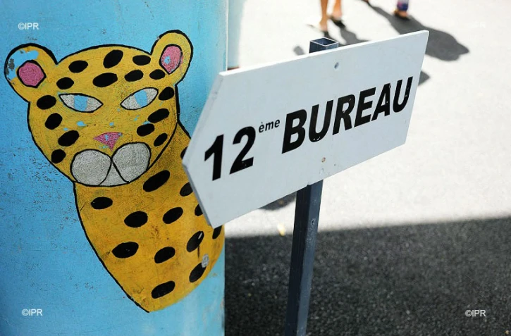 élections législatives 2017