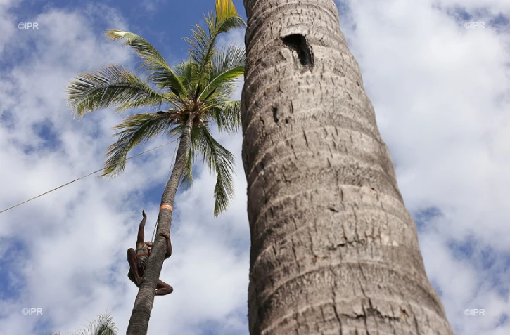 Concours grimpeur coco