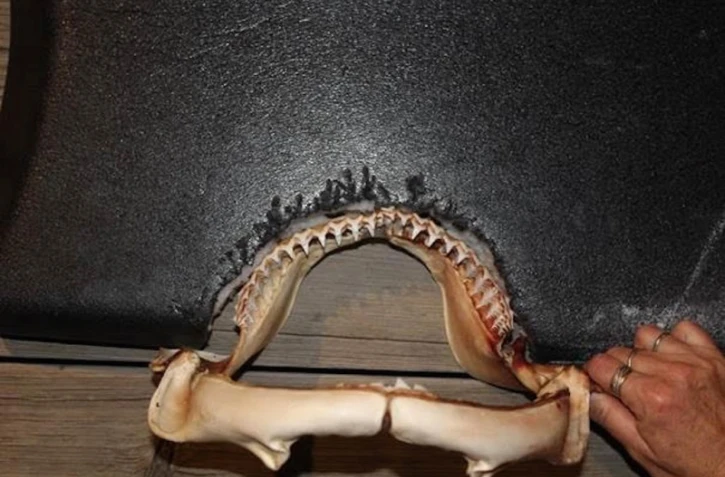 Attaque roches noires