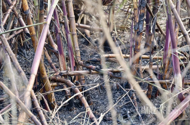 L'est de l'île en proie aux incendies ce dimanche [?]