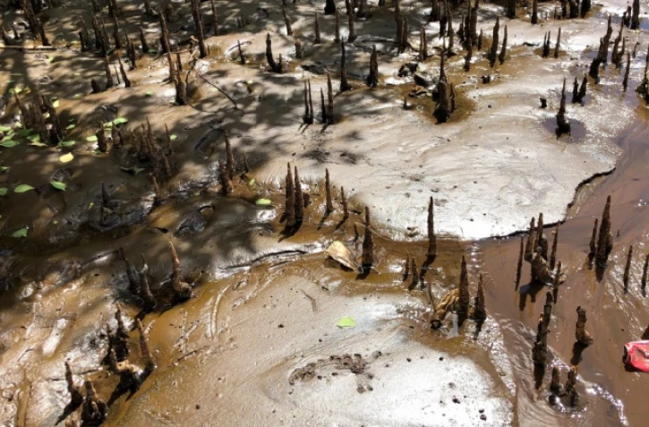 exposition cité des arts