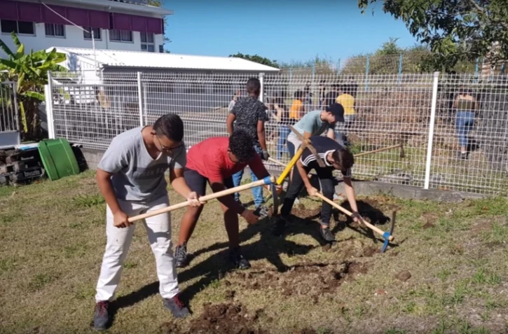 Championnat régional EPA Réunion : 4 mini-entreprises lauréates