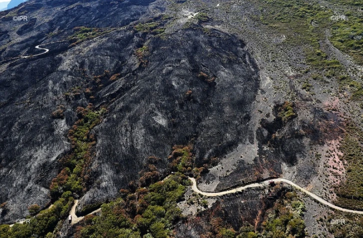Maïdo : les pompiers toujours à l'oeuvre après sept jours d'incendie 13 novembre 2020